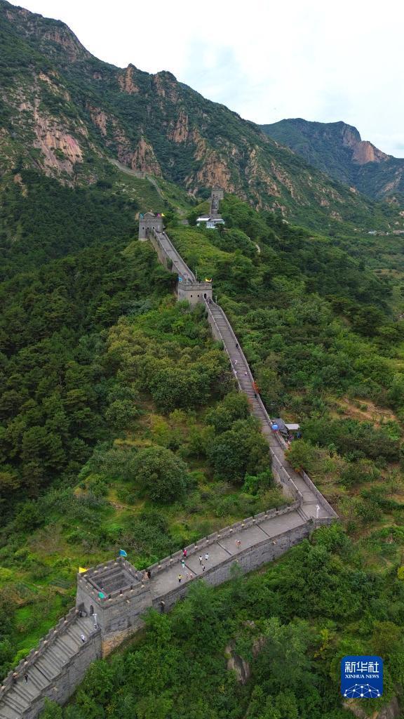 龙卷本子ag